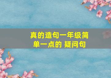 真的造句一年级简单一点的 疑问句